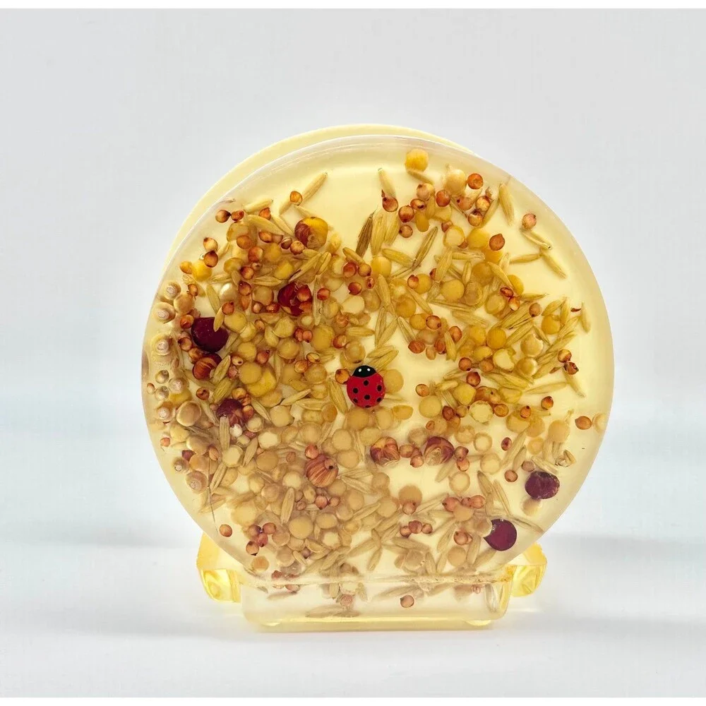 Vintage Gamut Lucite Seed and Ladybug Napkin Holder